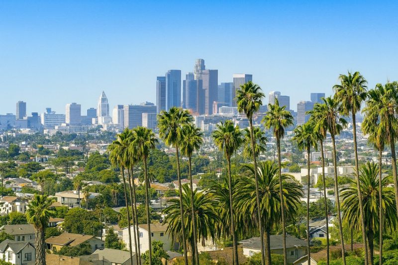 Shrub Replacement in Sherman Oaks, CA