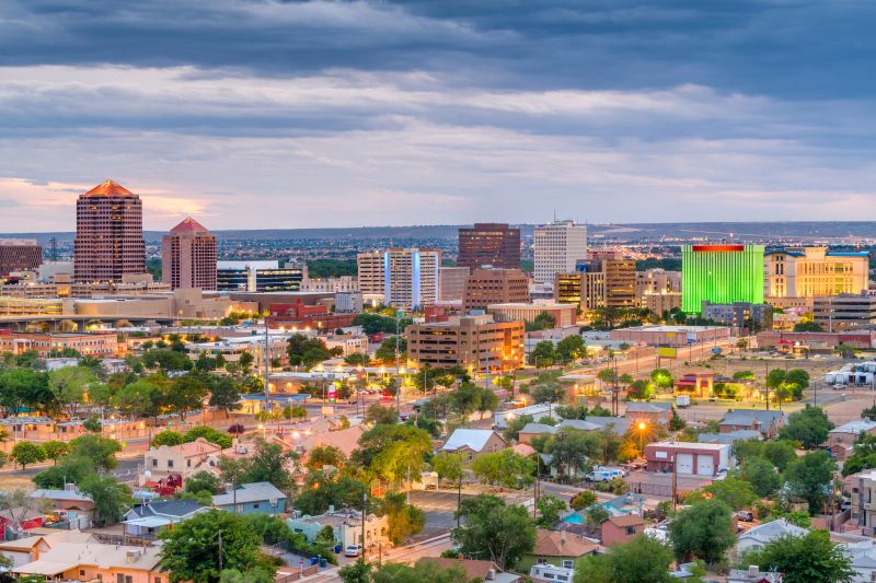 Shrub Replacement in Albuquerque, NM