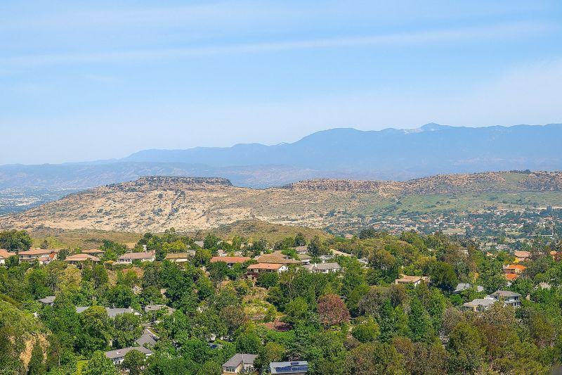 Shrub Replacement in Thousand Oaks, CA