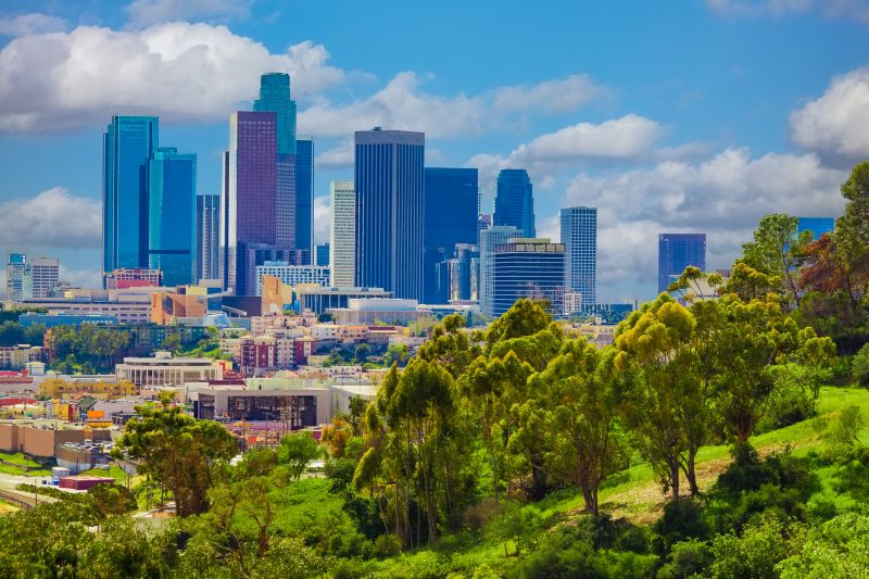Weeding And Mulching in Los Angeles, CA