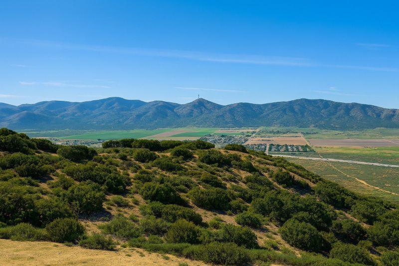 Weeding And Mulching in Palmdale, CA
